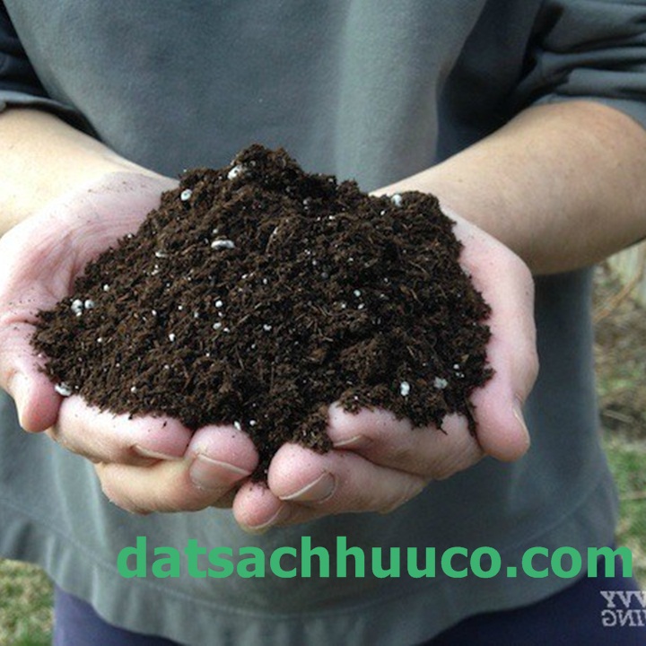 Đất sạch Namix có chứa các hạt Perlite giúp làm tăng độ xốp cho đất chậu