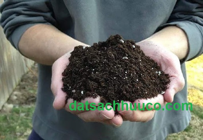 đất sạch trồng chậu namix