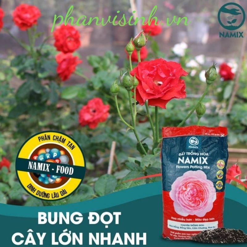 đất sạch hữu cơ Namix chuyên hoa hồng