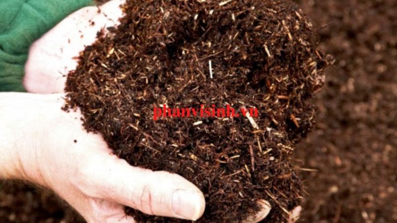 tác dụng của chế phẩm trichoderma ủ phân